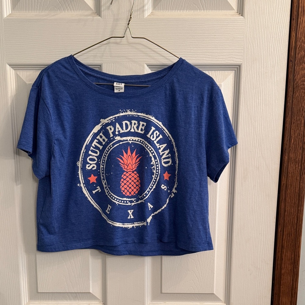 District Blue Short Sleeve‎ Crop Tee with Coral Pineapple Graphic